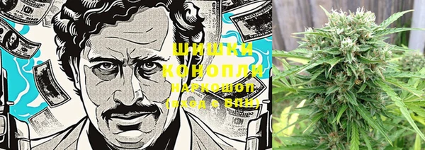 MESCALINE Каменногорск