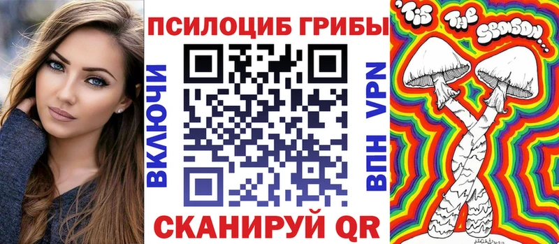 Псилоцибиновые грибы мицелий  Купить  Железногорск-Илимский 